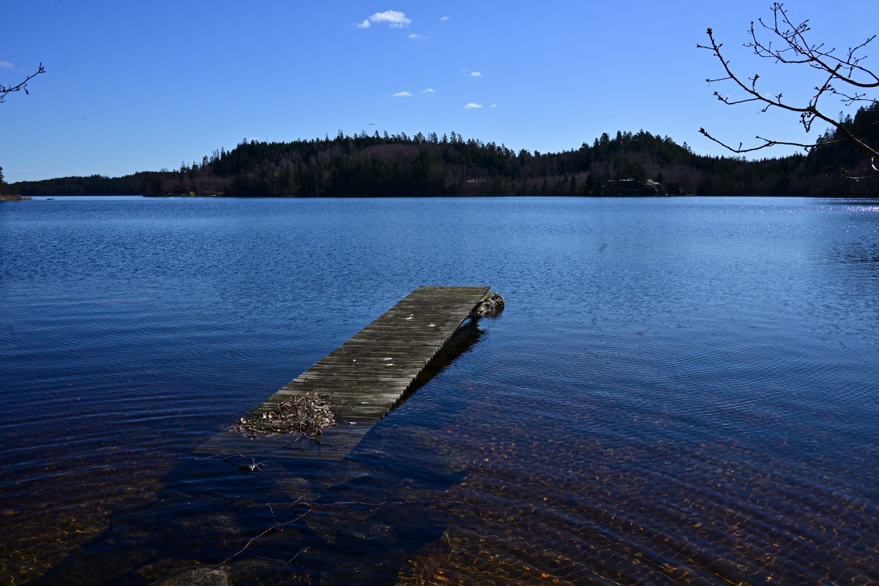 A wooden jetty reaching into a calm lake.
