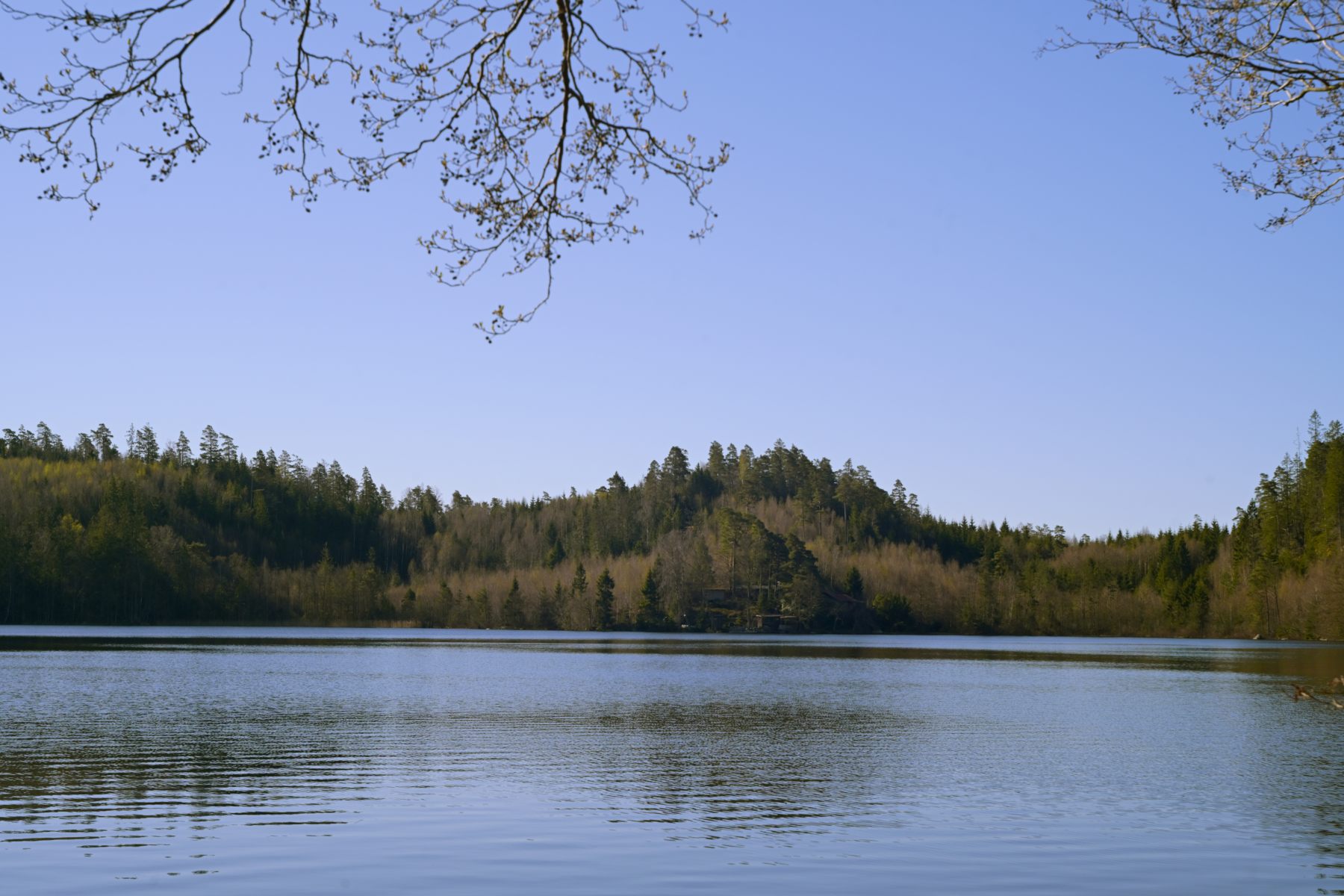 An island mirrored in still water.