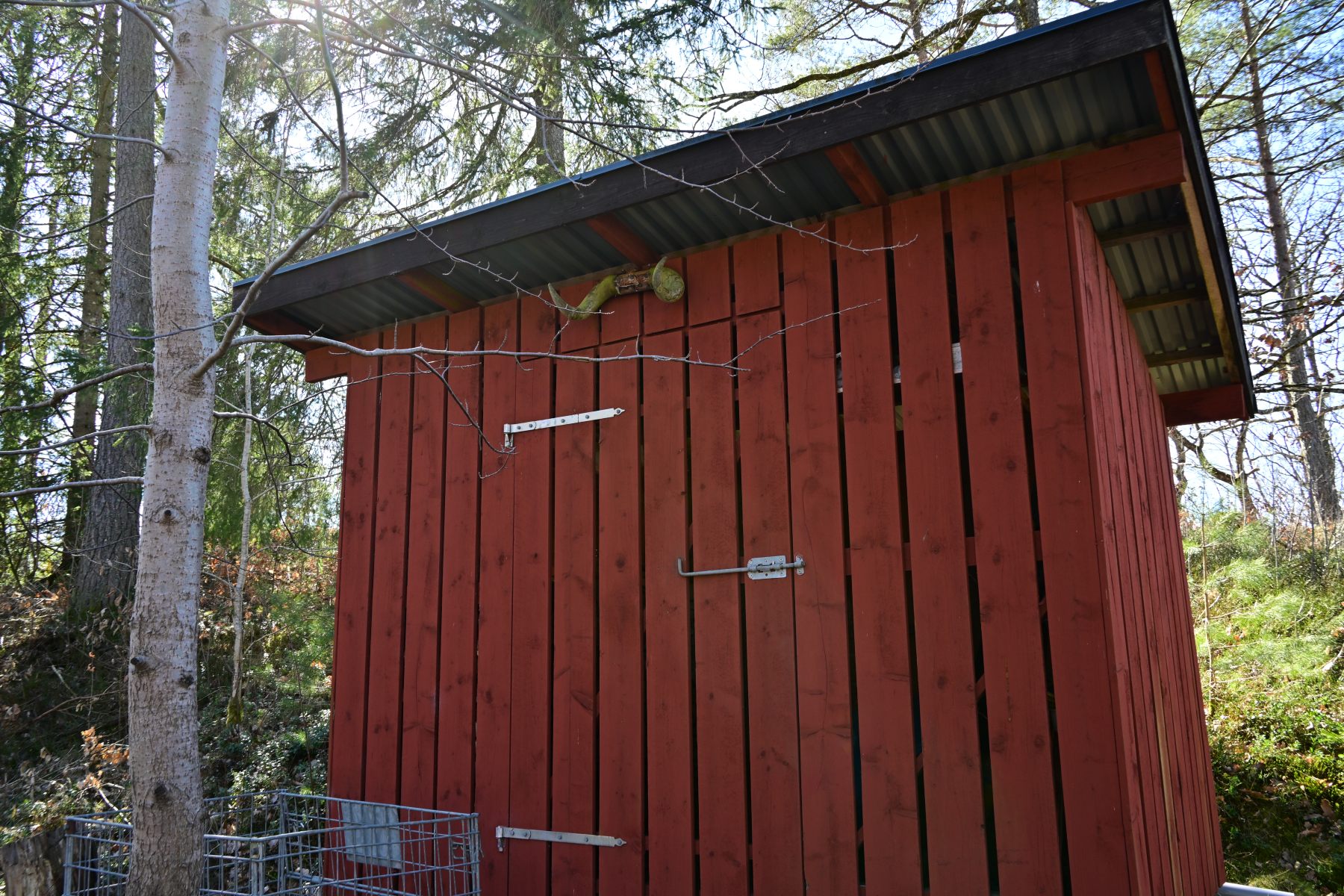 A red Swedish cabin among bare trees.