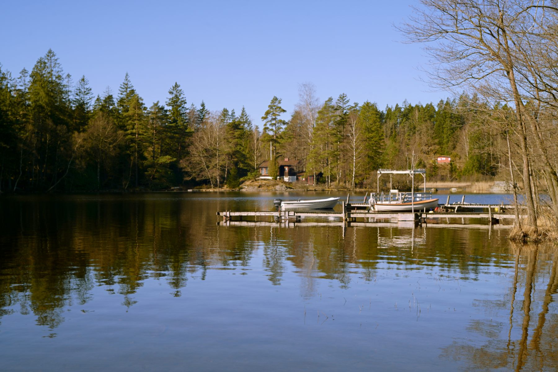 A perfectly still lake at evening.